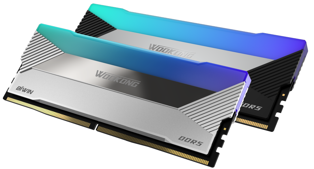 佰维 WOOKONG DX100 DDR5 RGB内存套装